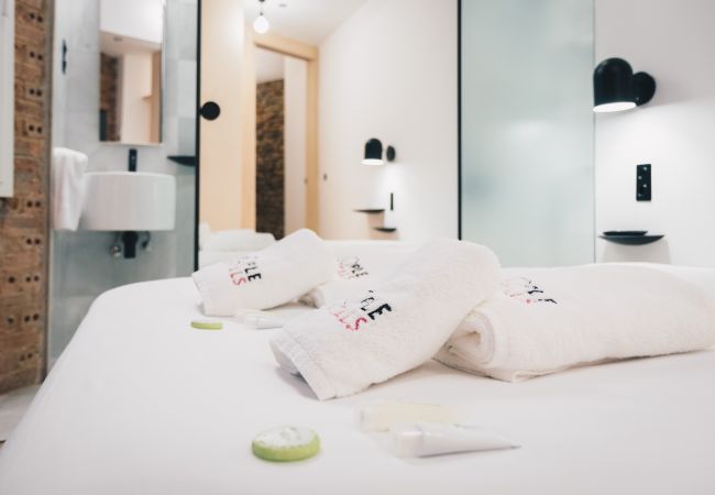 Apartment in Bilbao - MOYUA Apartment in Bilbao - MOYUA