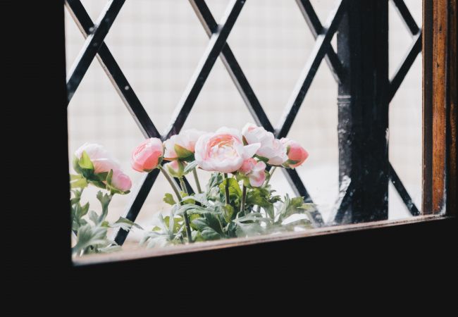 Apartment in Bilbao - FUNI Apartment in Bilbao - FUNI