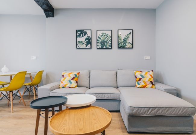 Apartment in Bilbao - IBAIZABAL Apartment in Bilbao - IBAIZABAL