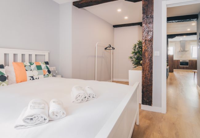 Apartment in Bilbao - IBAIZABAL Apartment in Bilbao - IBAIZABAL