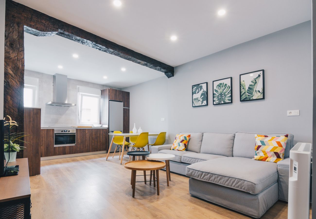 Apartment in Bilbao - IBAIZABAL