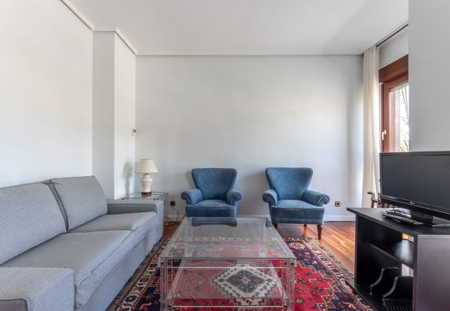 Apartment in Bilbao - PUPPY Apartment in Bilbao - PUPPY
